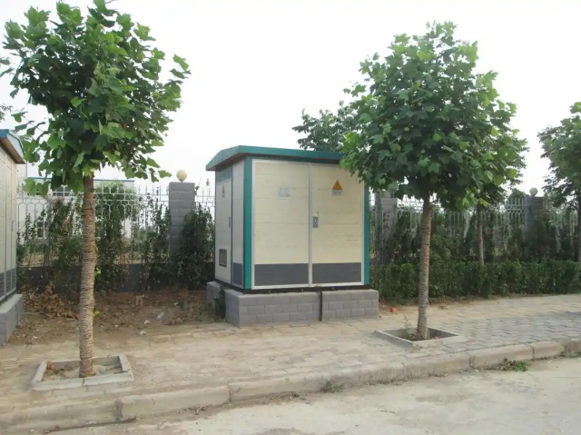 大宁1000KVA欧式箱式变压器